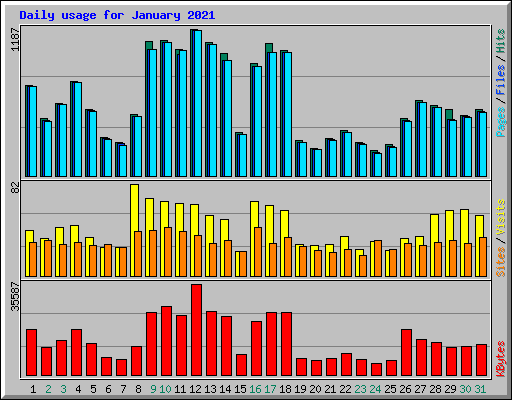 Daily usage for January 2021