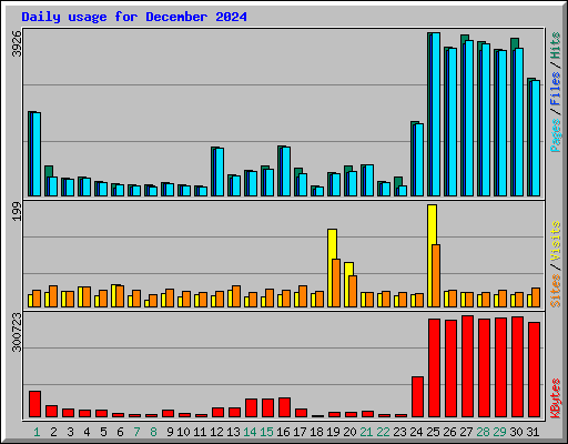 Daily usage for December 2024