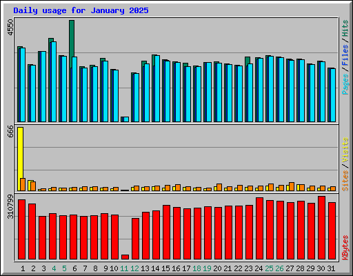 Daily usage for January 2025