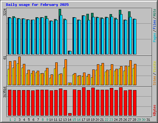 Daily usage for February 2025