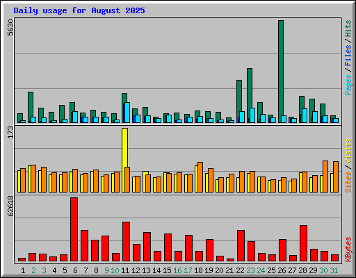 Daily usage for August 2025
