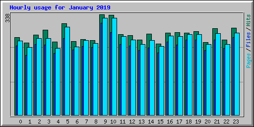 Hourly usage for January 2019
