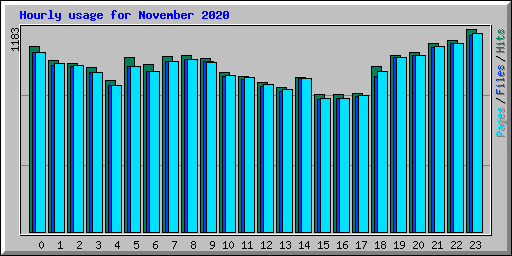 Hourly usage for November 2020