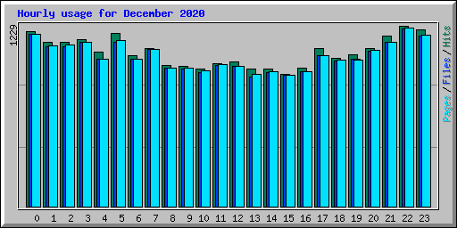 Hourly usage for December 2020