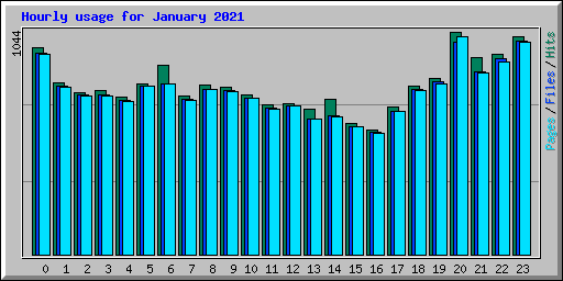 Hourly usage for January 2021