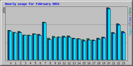Hourly usage for February 2021