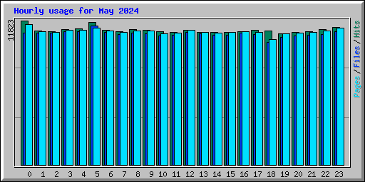 Hourly usage for May 2024