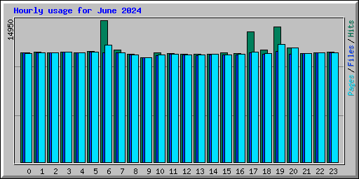 Hourly usage for June 2024