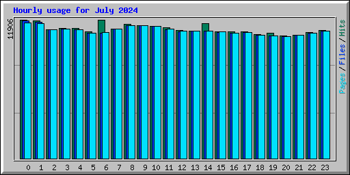 Hourly usage for July 2024