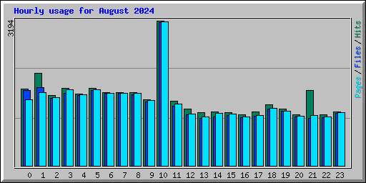 Hourly usage for August 2024