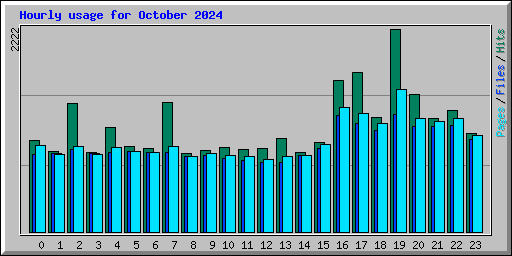 Hourly usage for October 2024