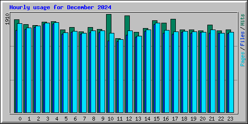 Hourly usage for December 2024