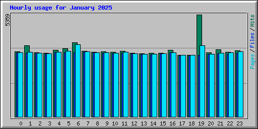 Hourly usage for January 2025