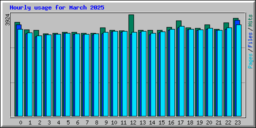 Hourly usage for March 2025