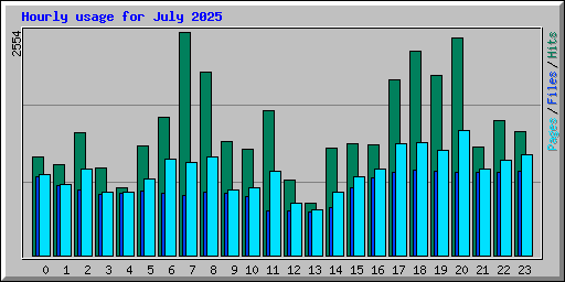 Hourly usage for July 2025