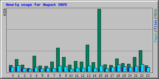 Hourly usage for August 2025