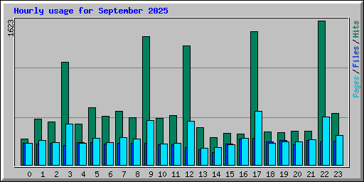Hourly usage for September 2025
