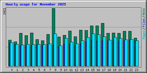 Hourly usage for November 2025