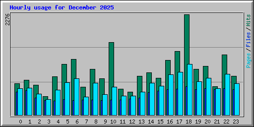 Hourly usage for December 2025